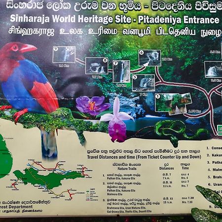 Sinharaja Vini Villa Deniyaya Buitenkant foto