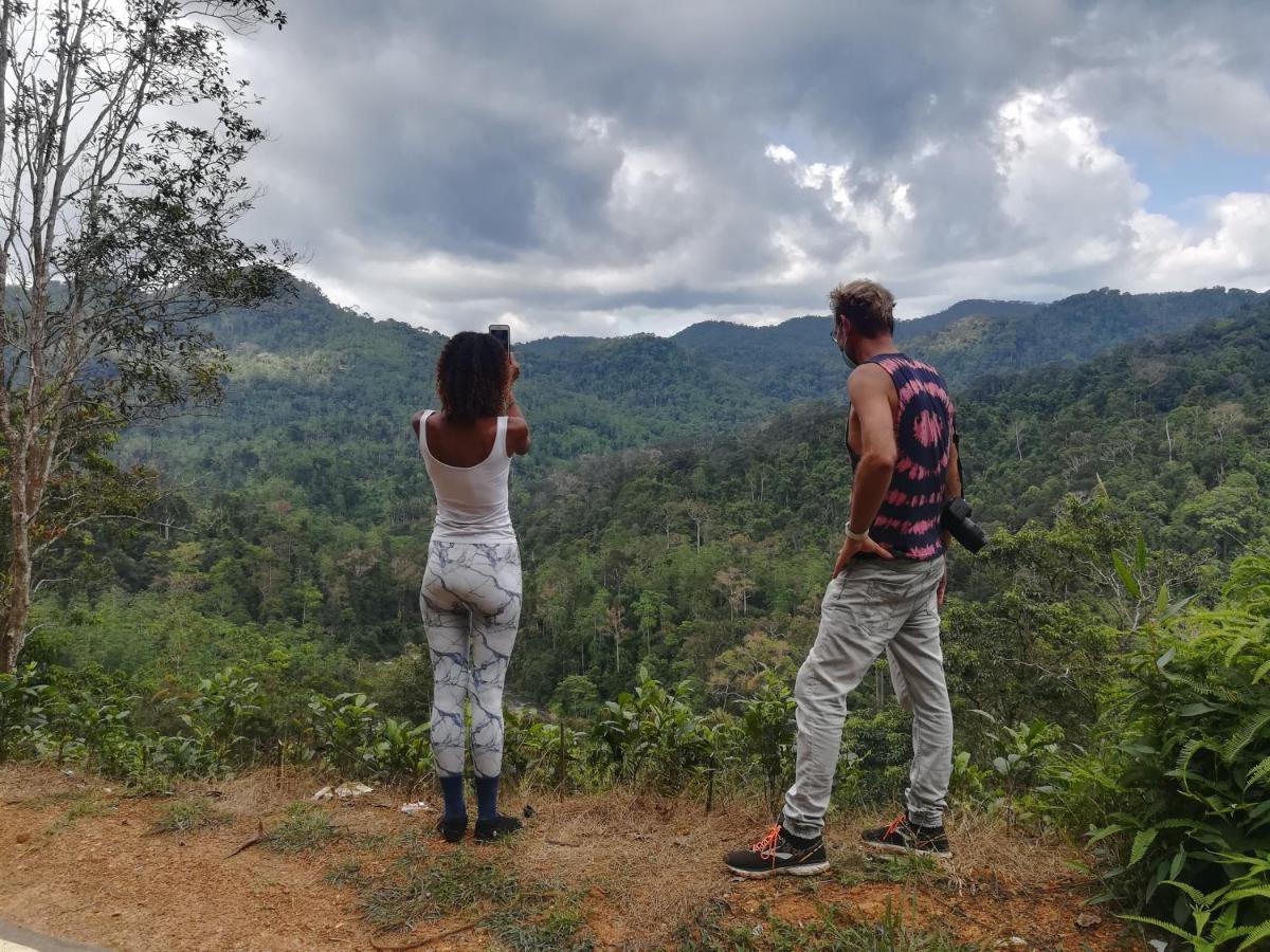 Sinharaja Vini Villa Deniyaya Buitenkant foto