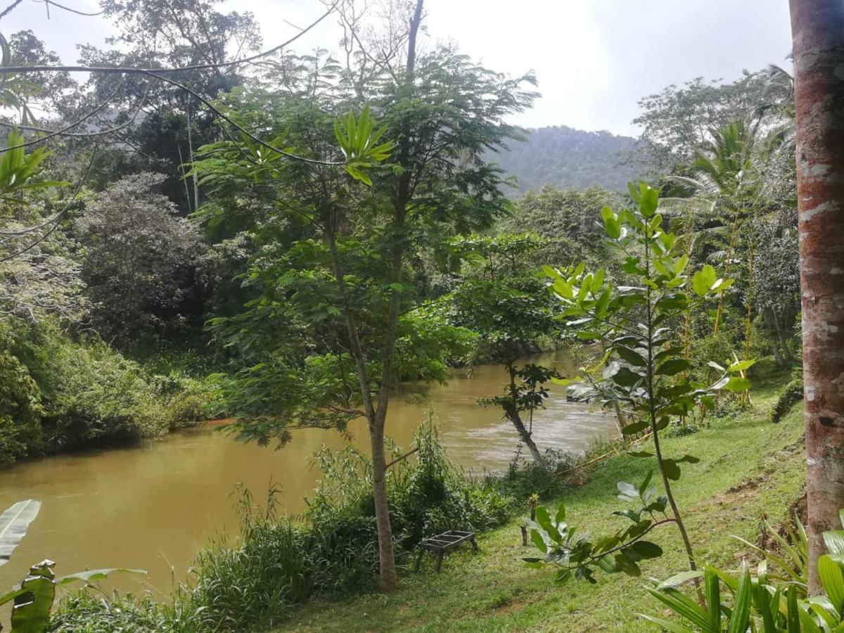 Sinharaja Vini Villa Deniyaya Buitenkant foto