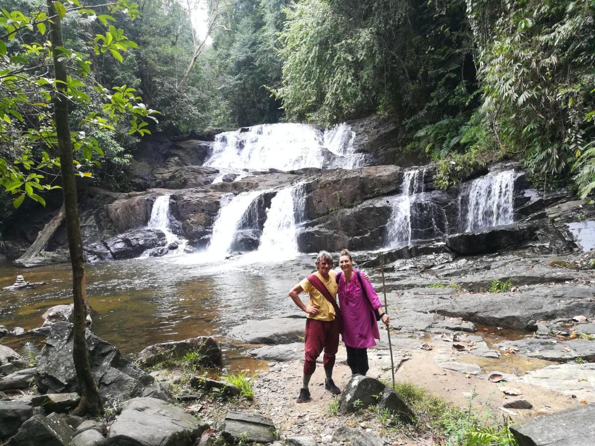 Sinharaja Vini Villa Deniyaya Buitenkant foto