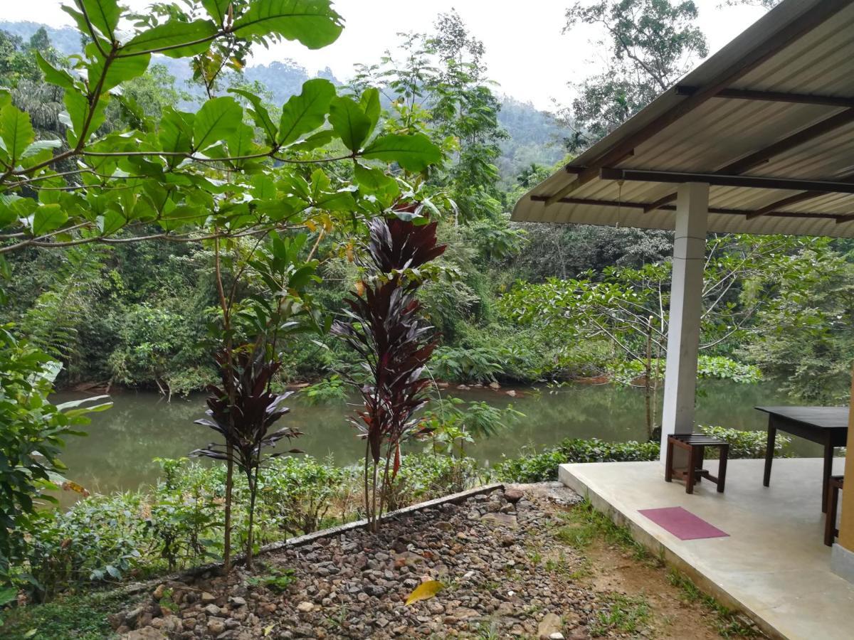Sinharaja Vini Villa Deniyaya Buitenkant foto