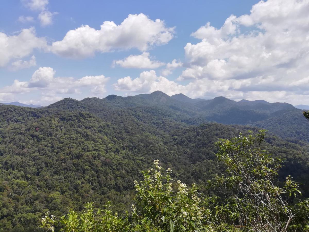 Sinharaja Vini Villa Deniyaya Buitenkant foto