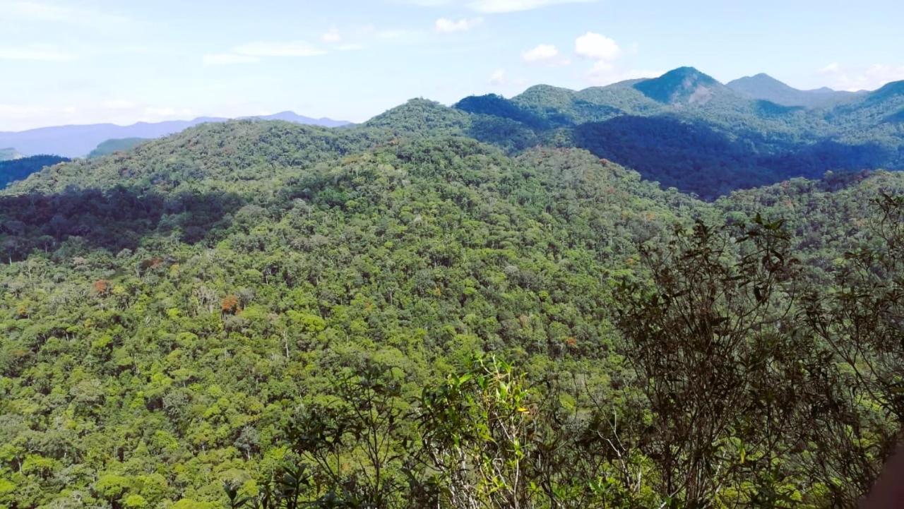 Sinharaja Vini Villa Deniyaya Buitenkant foto