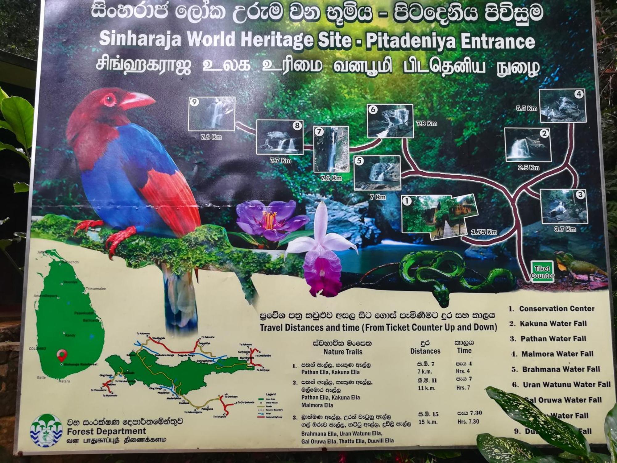 Sinharaja Vini Villa Deniyaya Buitenkant foto
