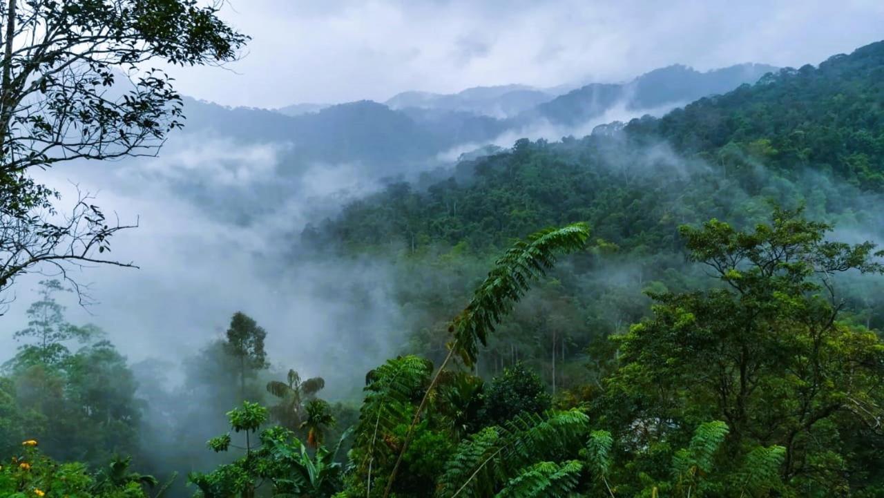 Sinharaja Vini Villa Deniyaya Buitenkant foto