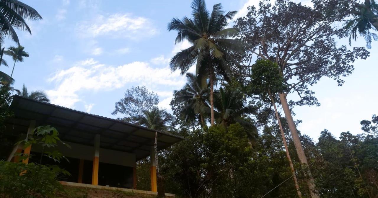 Sinharaja Vini Villa Deniyaya Buitenkant foto