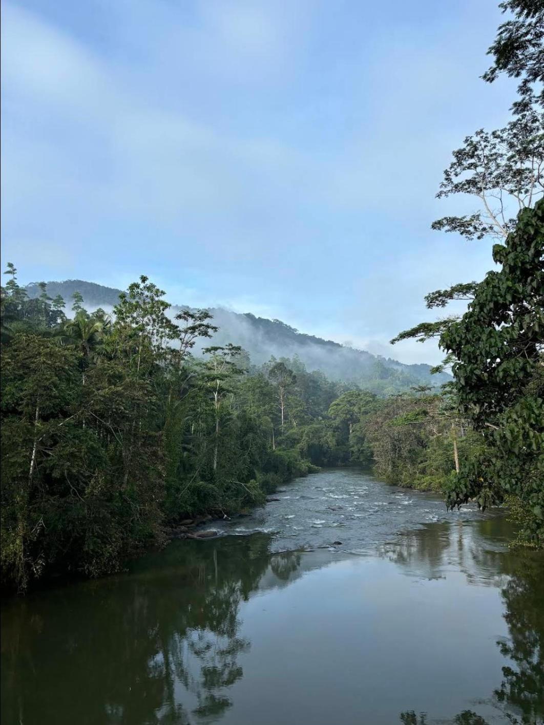 Sinharaja Vini Villa Deniyaya Buitenkant foto