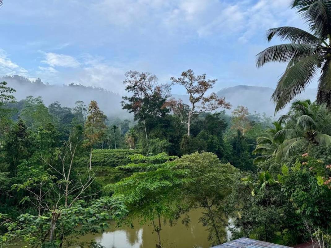 Sinharaja Vini Villa Deniyaya Buitenkant foto