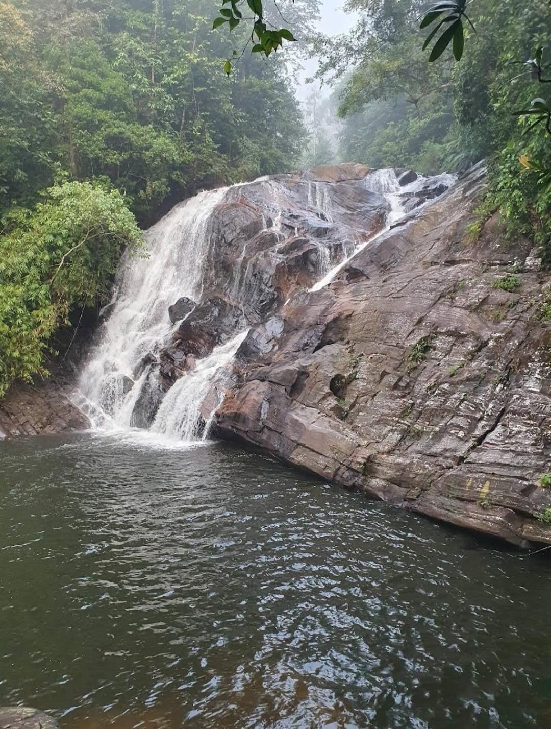Sinharaja Vini Villa Deniyaya Buitenkant foto