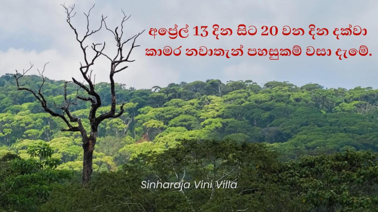 Sinharaja Vini Villa Deniyaya Buitenkant foto