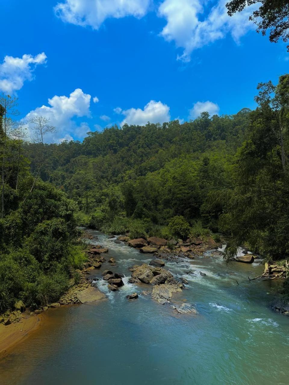 Sinharaja Vini Villa Deniyaya Buitenkant foto