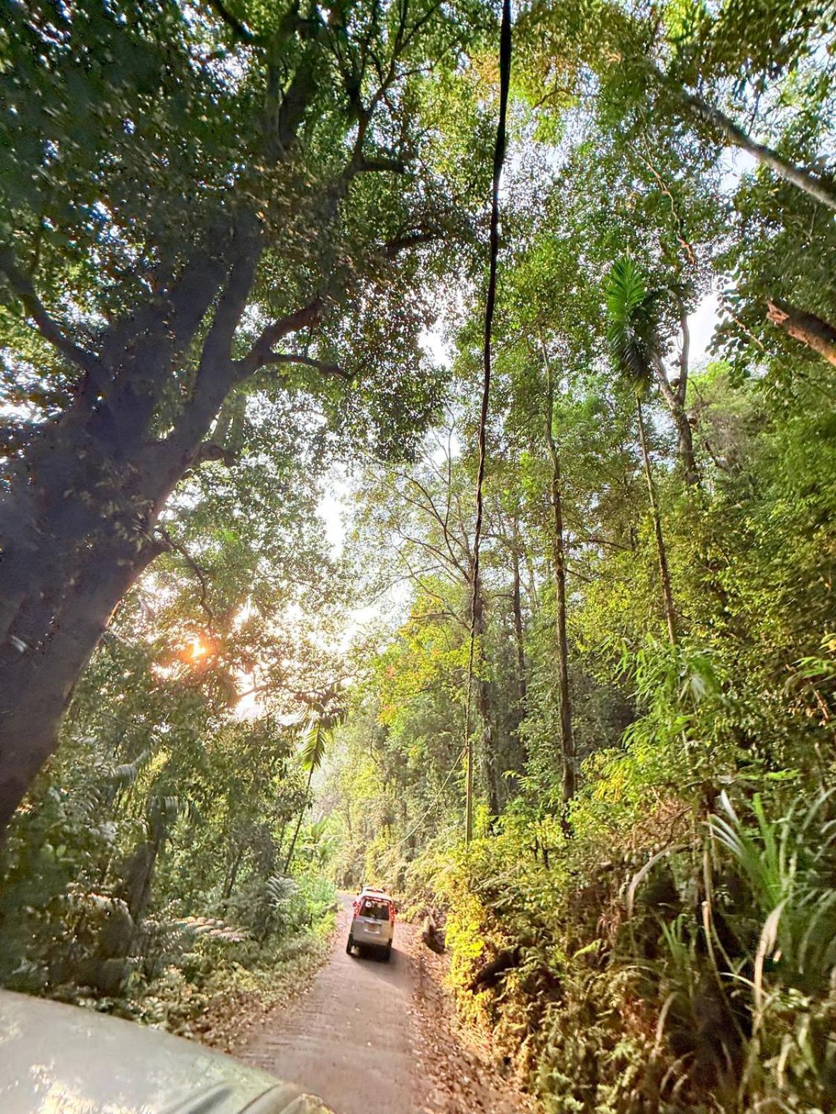 Sinharaja Vini Villa Deniyaya Buitenkant foto